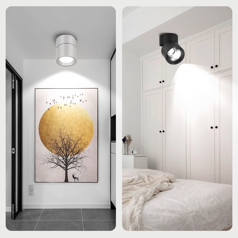 CANMEIJIA Foldable Spot Light