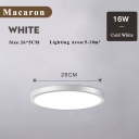 16W White Body-26cm