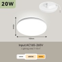 ⭕20W Natural White