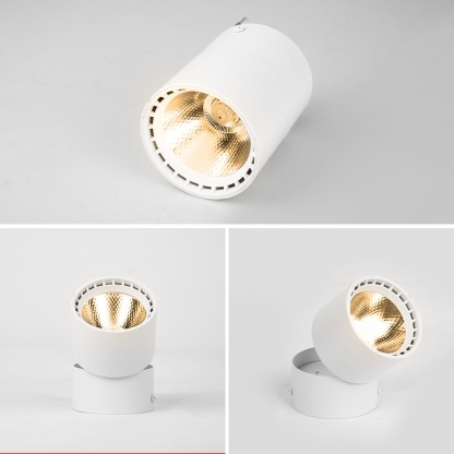 CANMEIJIA Foldable Spot Light