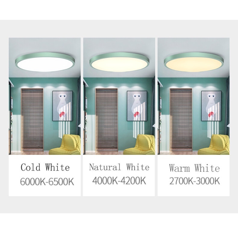 Canmeijia Macaron Ceiling Light, Colorful,