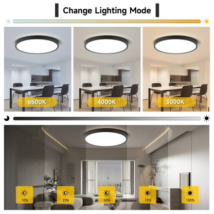 Canmeijia Remote Ceiling Light