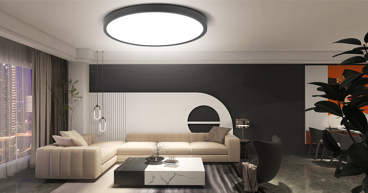 Canmeijia Remote Ceiling Light