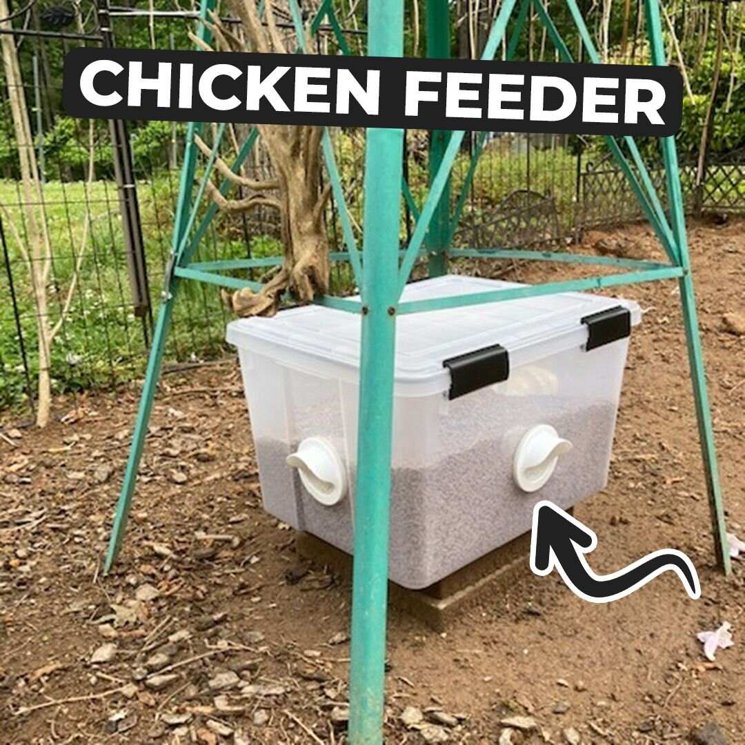 Poultry Pro Feeder