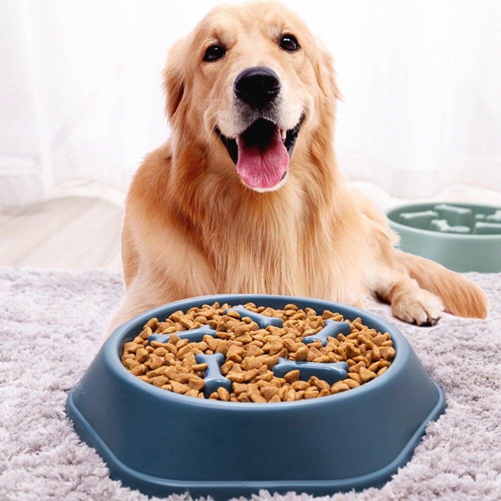 SlowFeeder™ - Slow Eating Bowl For Dogs & Cats