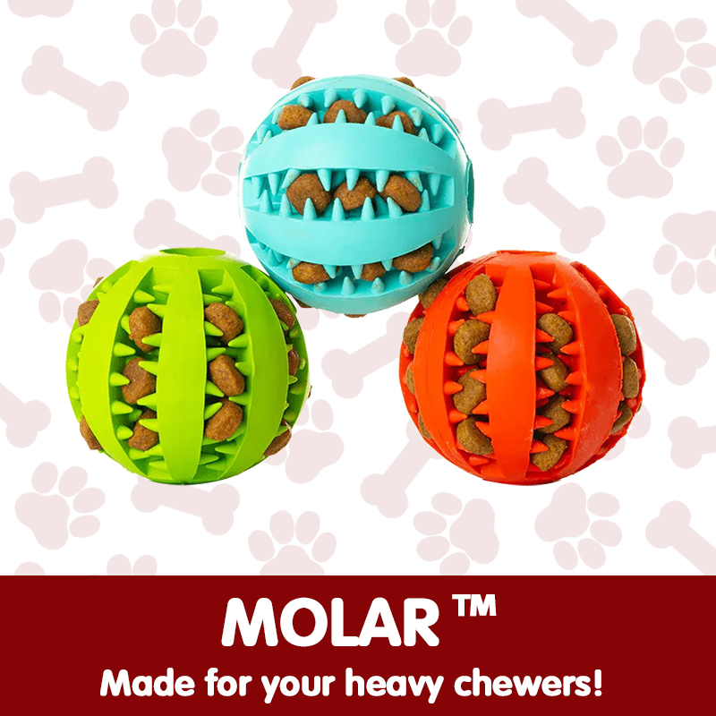 Molar™ - Immortal Toy For Aggressive Chewers