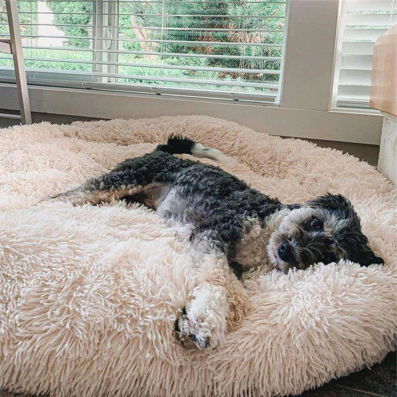 FurBabyNest™ - World's #1 Anxiety Relieving Pet Bed  FurBabyNest
