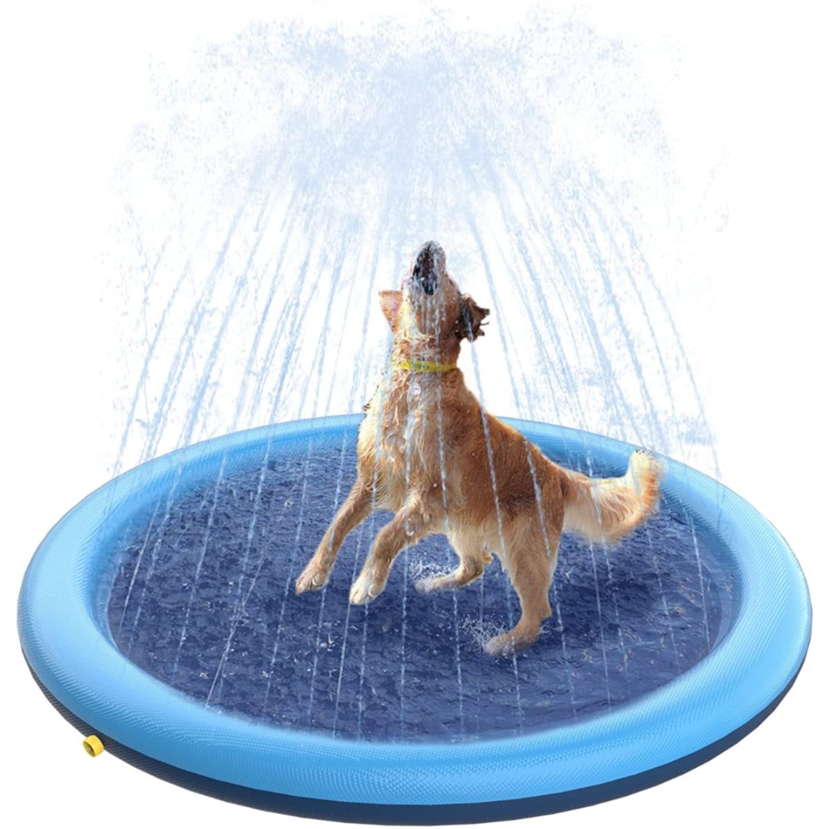 Splashy™ - Dog Sprinkler Pad