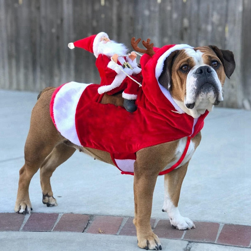 Christmas theme dog coat