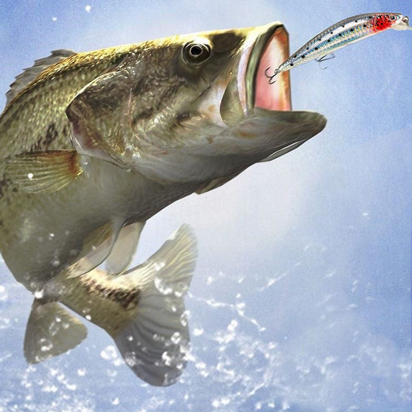 Buy One And Get One FREE: Rechargeable Twitching Lure