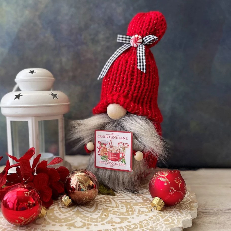 Knitted Gnome with Lantern & Card Sign