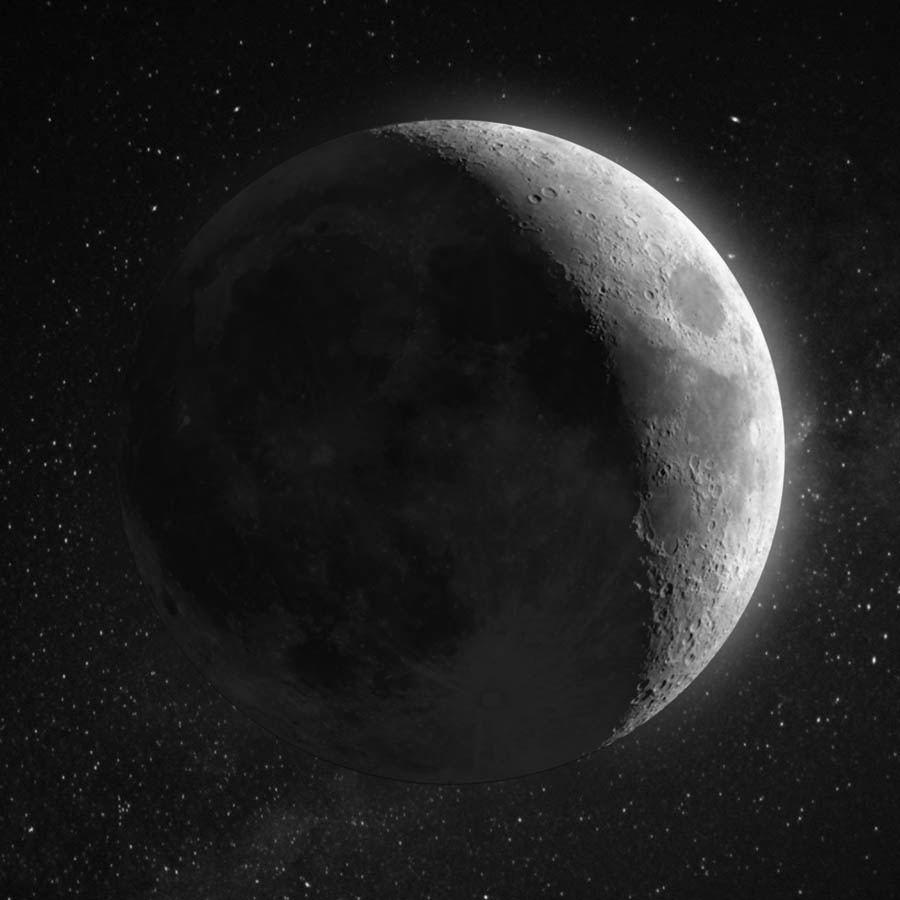 For Love Style CCXXXIX