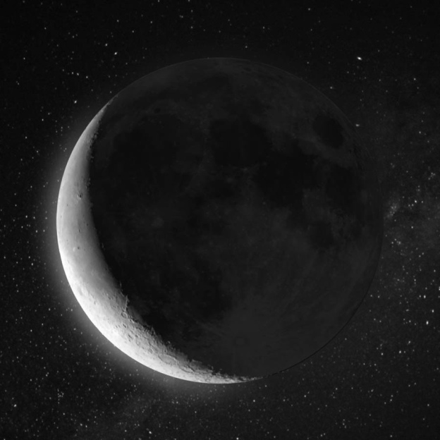 For Love Style CCXXXIX