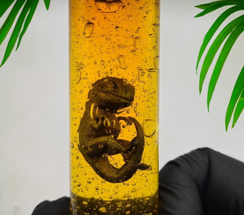 Jurassic World Park Dinosaur Embryo Glass Container