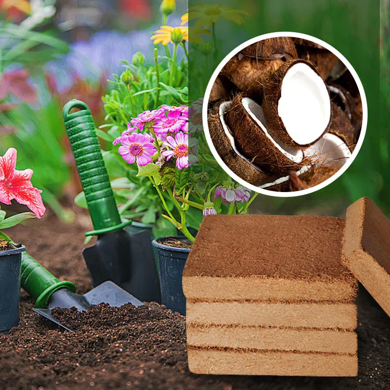 🔥Summer Specials- 49% OFF-Organic Coconut Coir for Plants