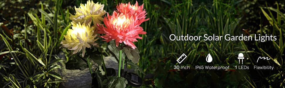 solar lights