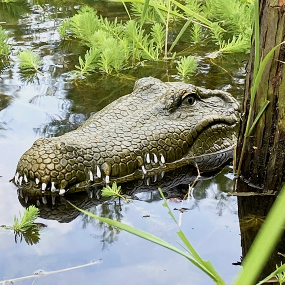 Crocodile Head Remote Control Boat
