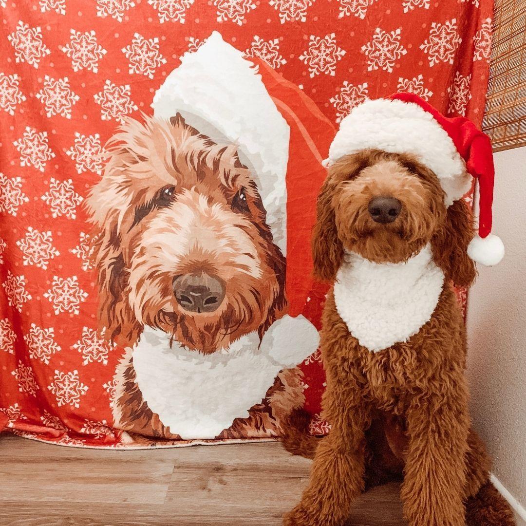 Custom Pet Fleece Blanket