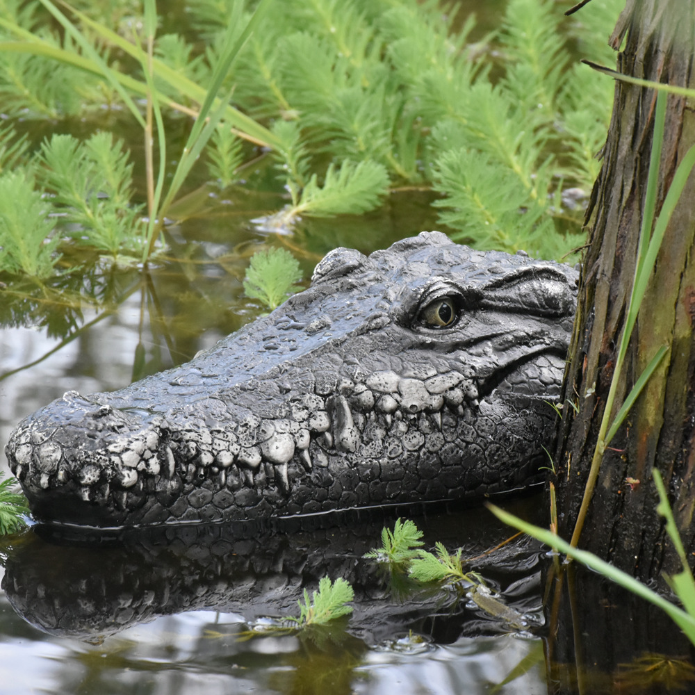Crocodile Head Remote Control Boat