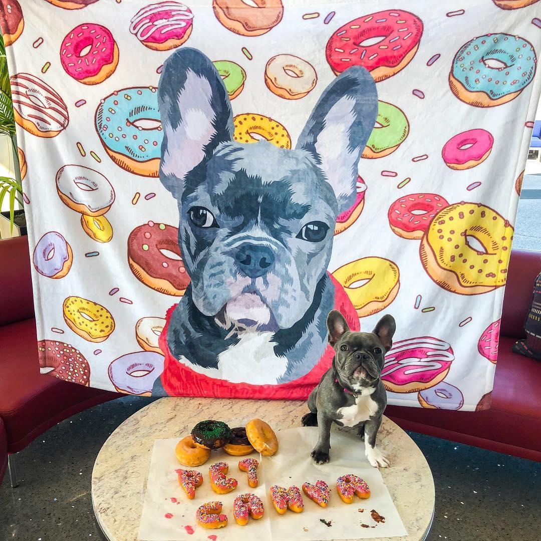 Custom Pet Fleece Blanket