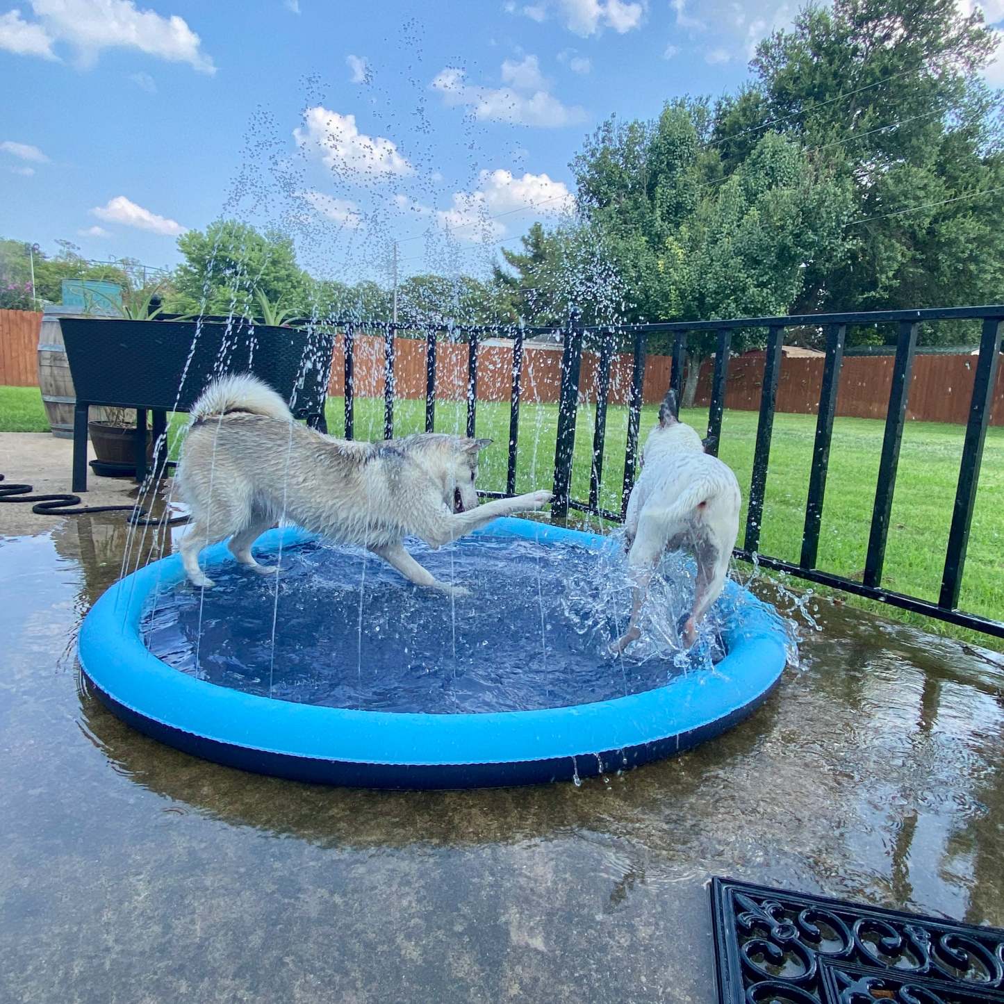 Furry Splasher