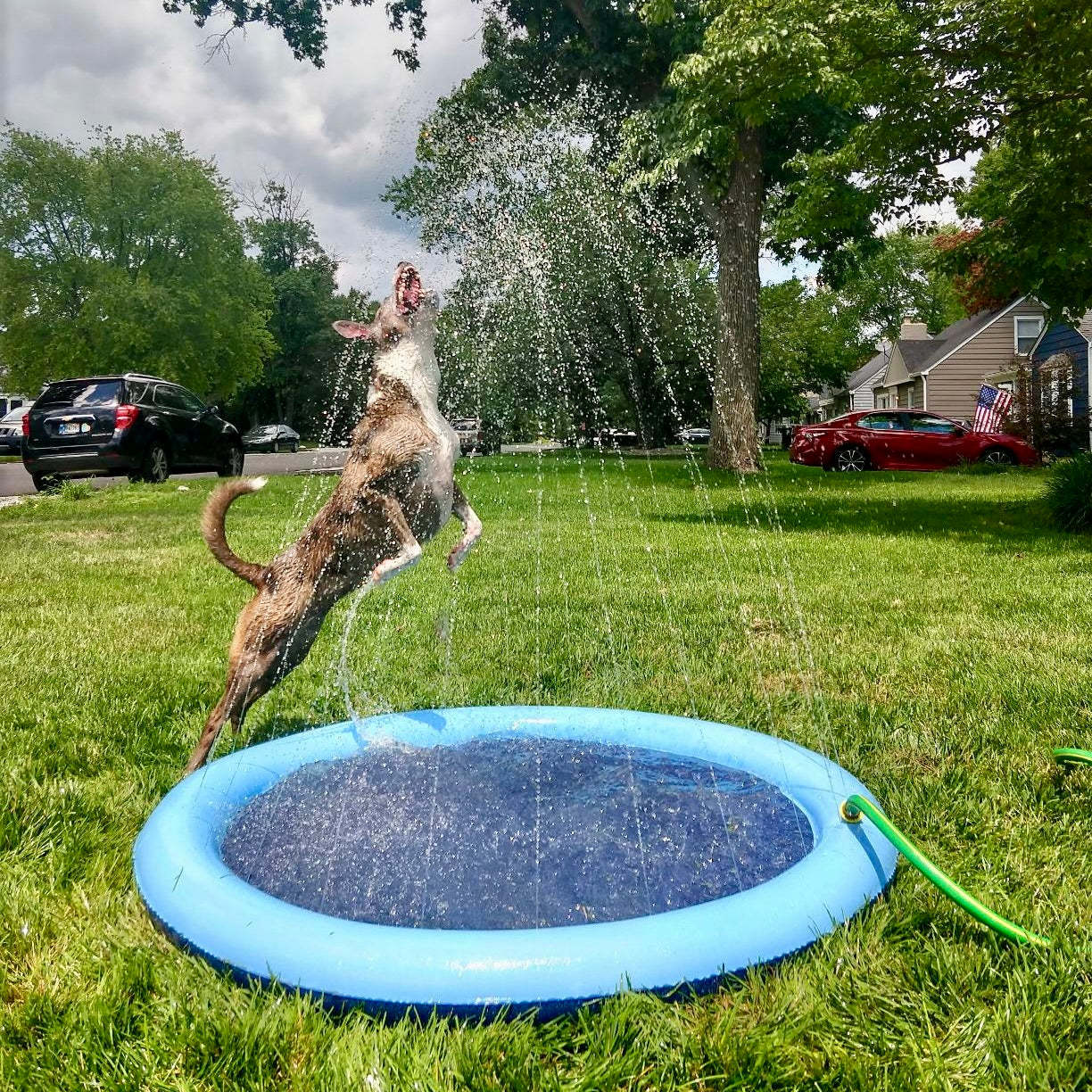 Furry Splasher
