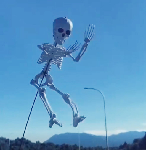 2022 Halloween Pop - Car Drift Skeleton