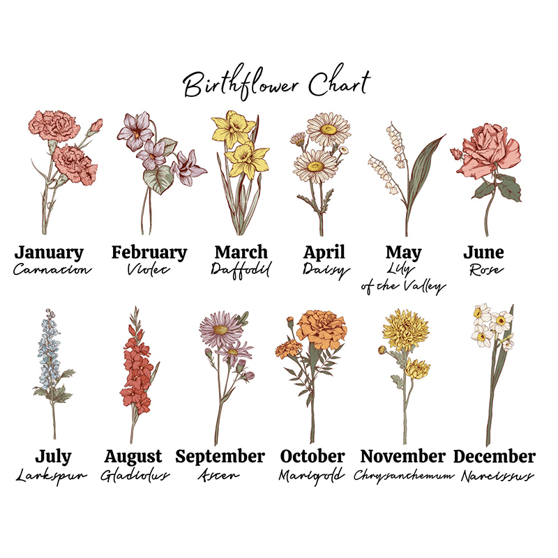 Personalised 'Grandma's Garden' Cushion for Comfort & Unique | CWCush06