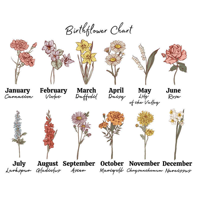 Personalised 'Grandma's Garden' Cushion for Comfort & Unique | CWCush06