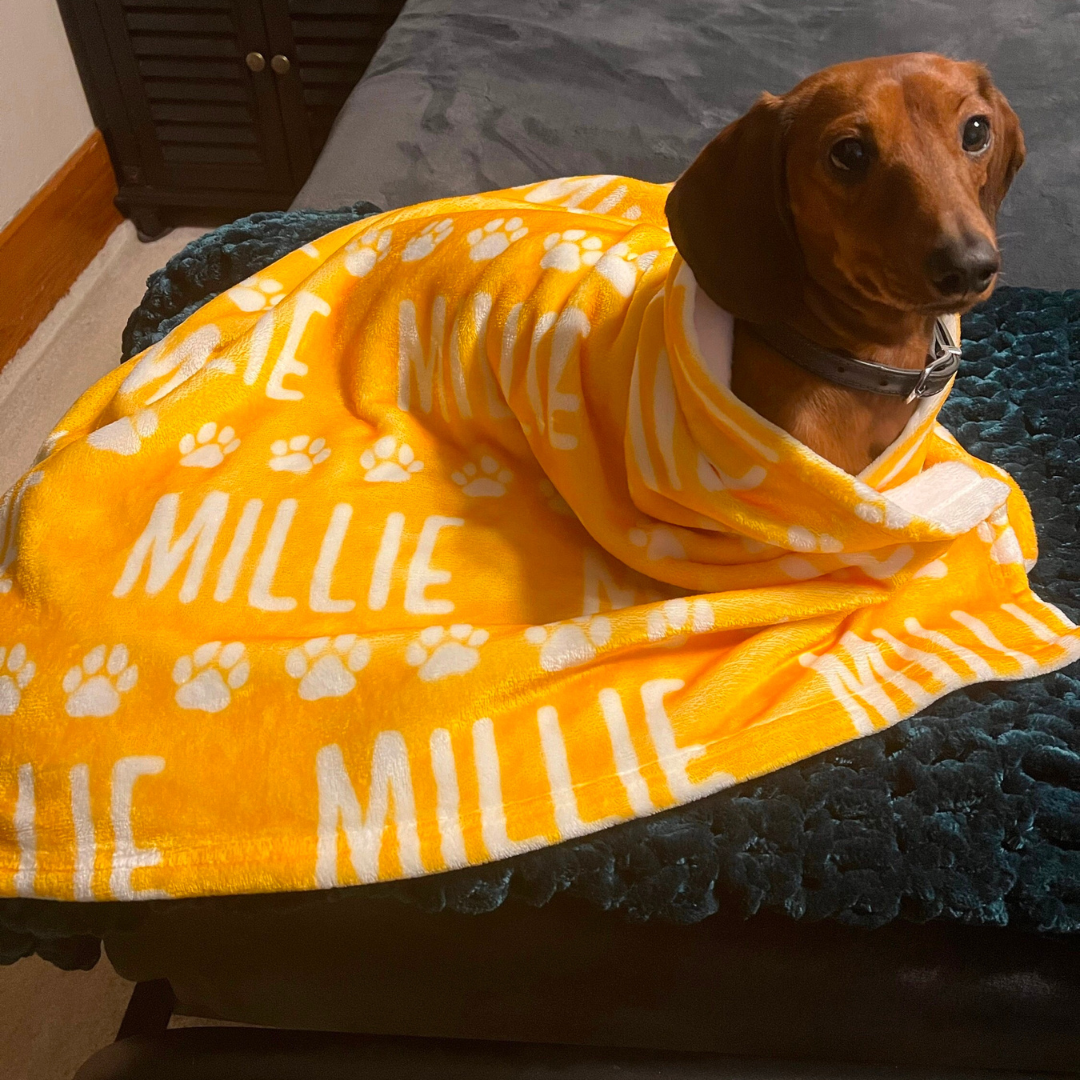 Personalized Lovely Pet Blanket for Comfort & Unique | BKPet14