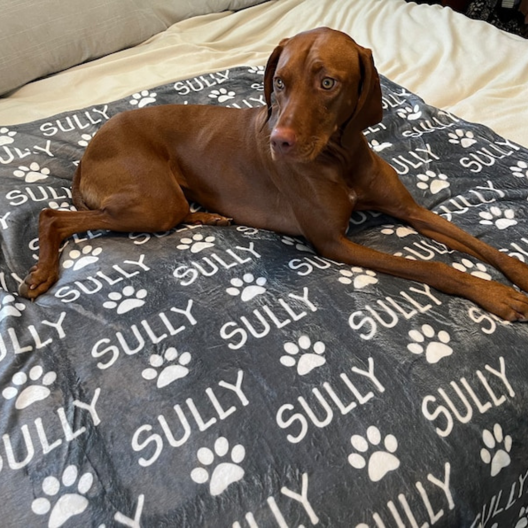 Personalized Lovely Pet Blanket for Comfort & Unique | BKPet10