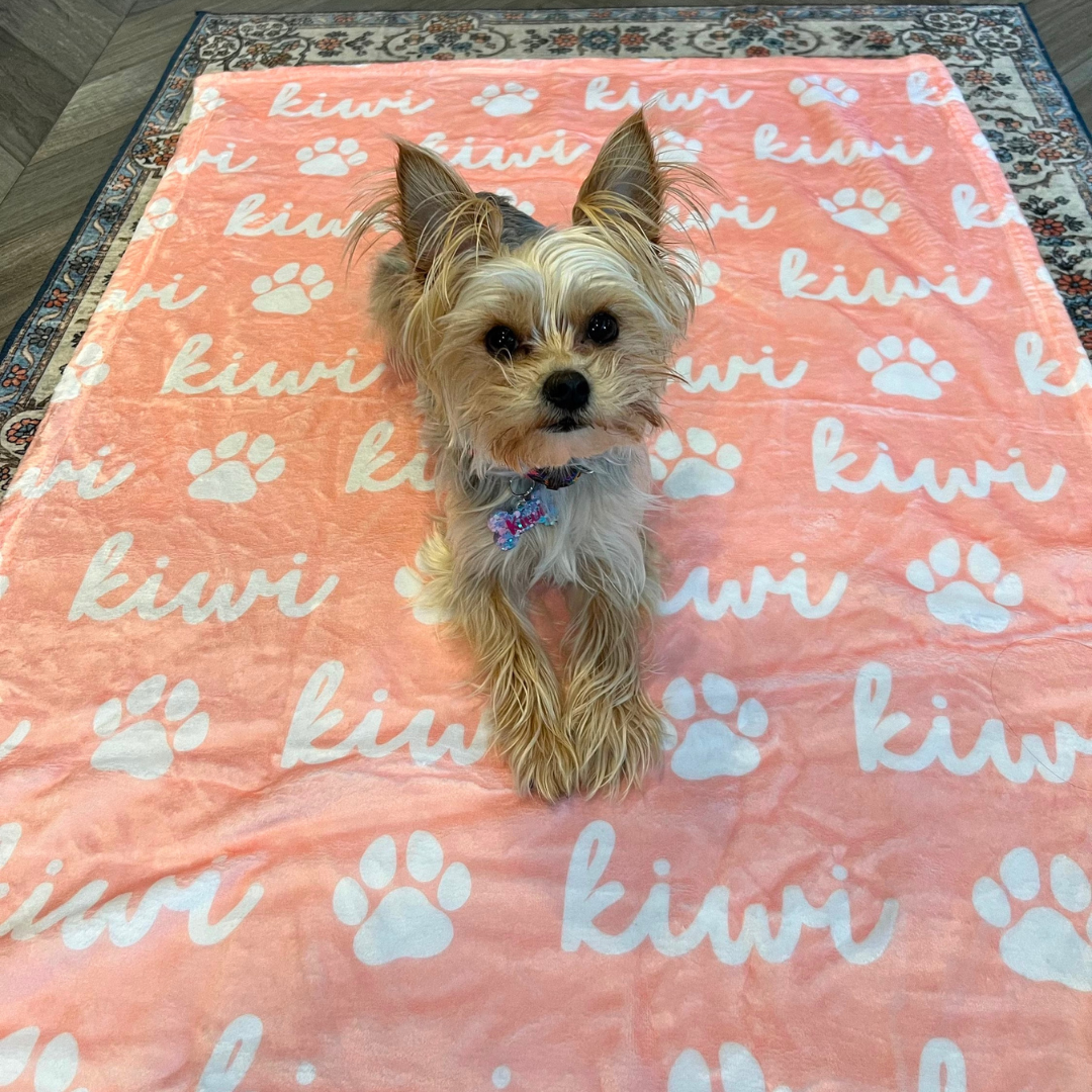 Personalized Lovely Pet Blanket for Comfort & Unique | BKPet11