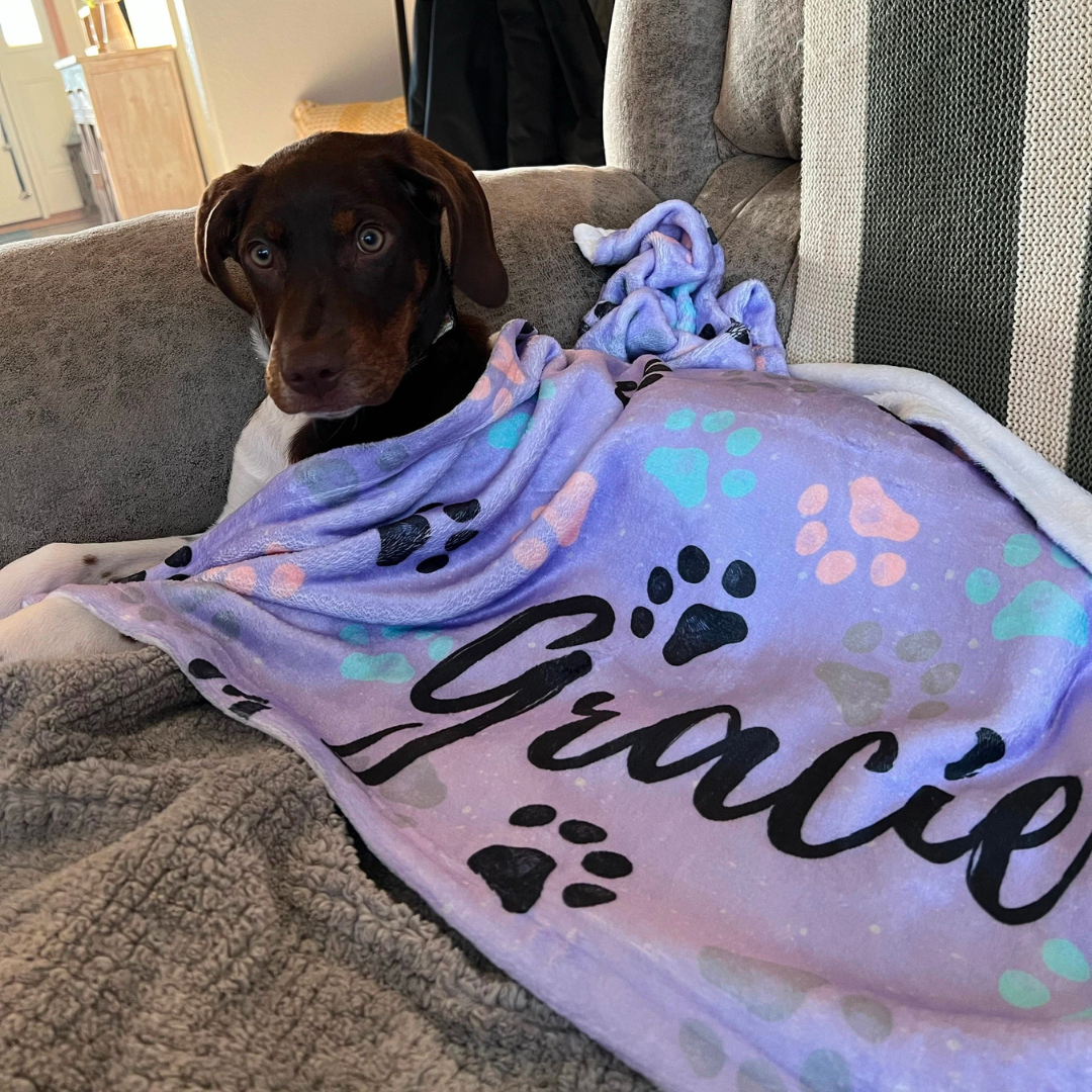 Personalized Lovely Pet Blanket for Comfort & Unique | BKPet12