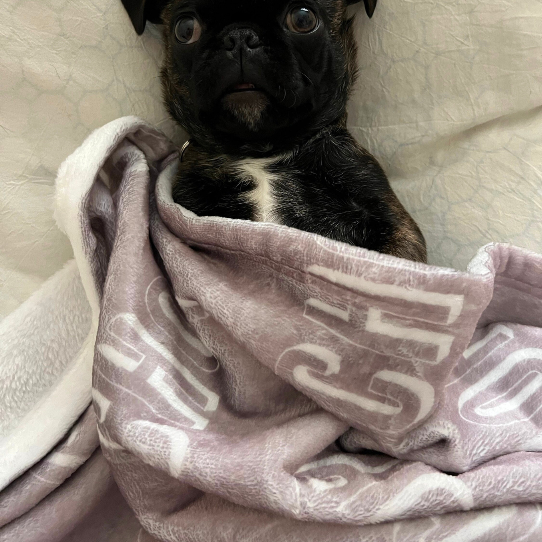 Personalized Lovely Pet Blanket for Comfort & Unique | BKPet13