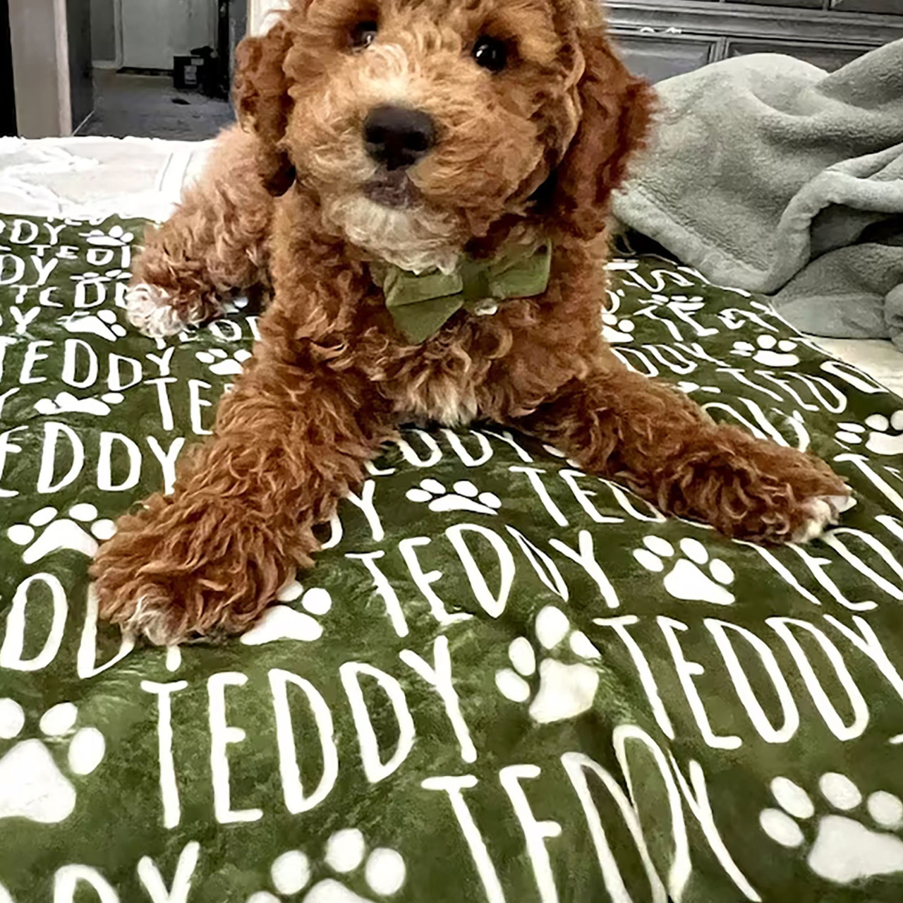 Personalized Lovely Pet Blanket for Comfort & Unique | BKPet01