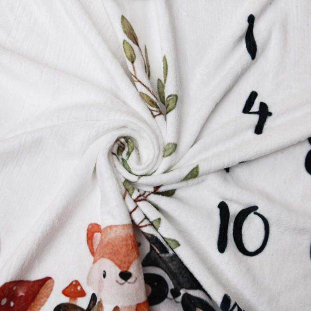 Personalized Baby Monthly Milestone Blanket for Comfort & Unique | BKMS001