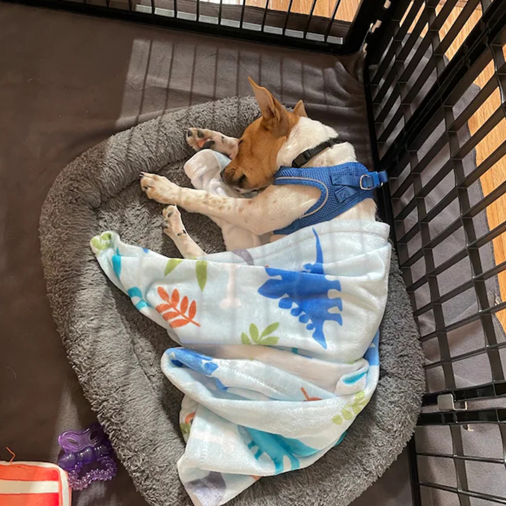 Personalized Lovely Kid Blanket for Comfort & Unique | BKKid88