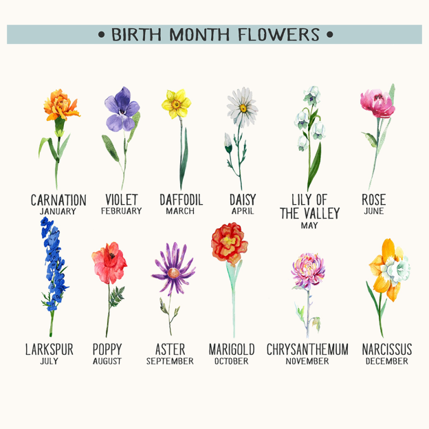 Personalized Family Name Blanket for Comfort & Unique | BKName09