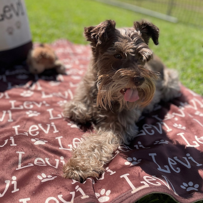 Personalized Lovely Pet Blanket for Comfort & Unique | BKPet01