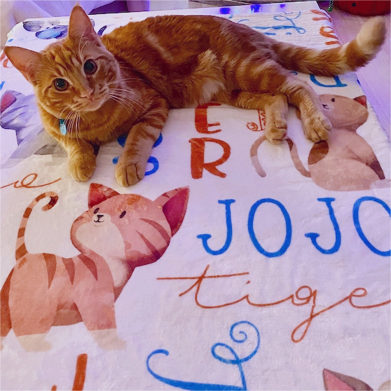 Personalized Lovely Kid Blanket for Comfort & Unique | BKKid41