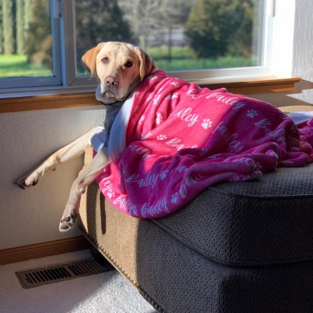 Personalized Lovely Pet Blanket for Comfort & Unique | BKPet01