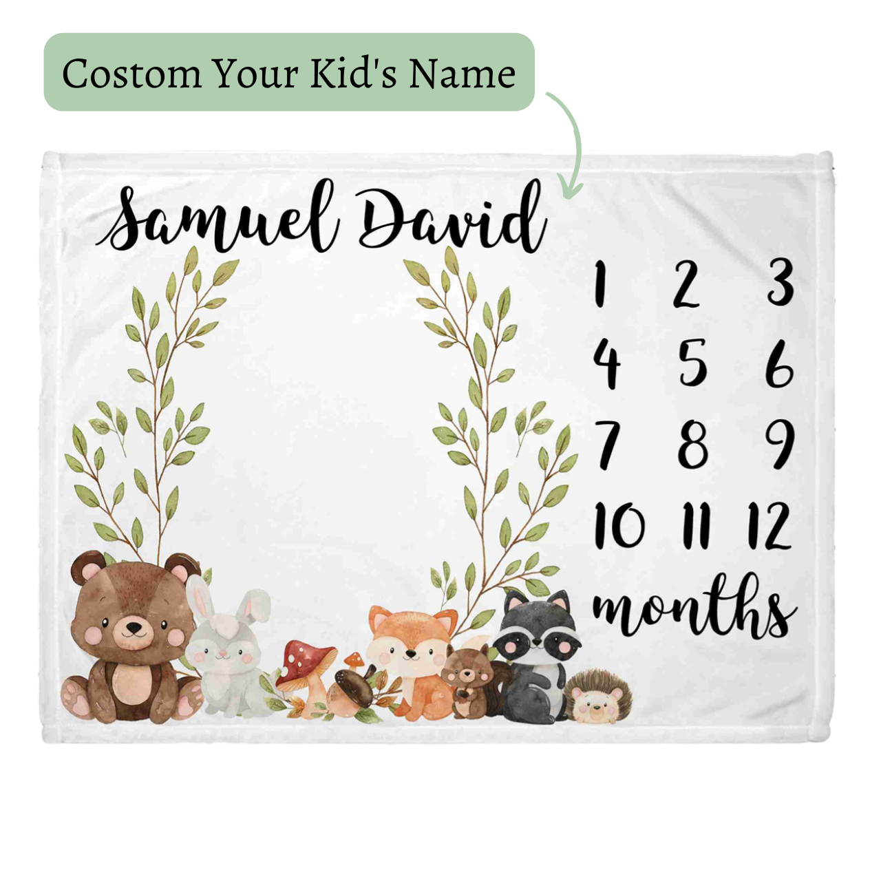 Personalized Baby Monthly Milestone Blanket for Comfort & Unique | BKMS001