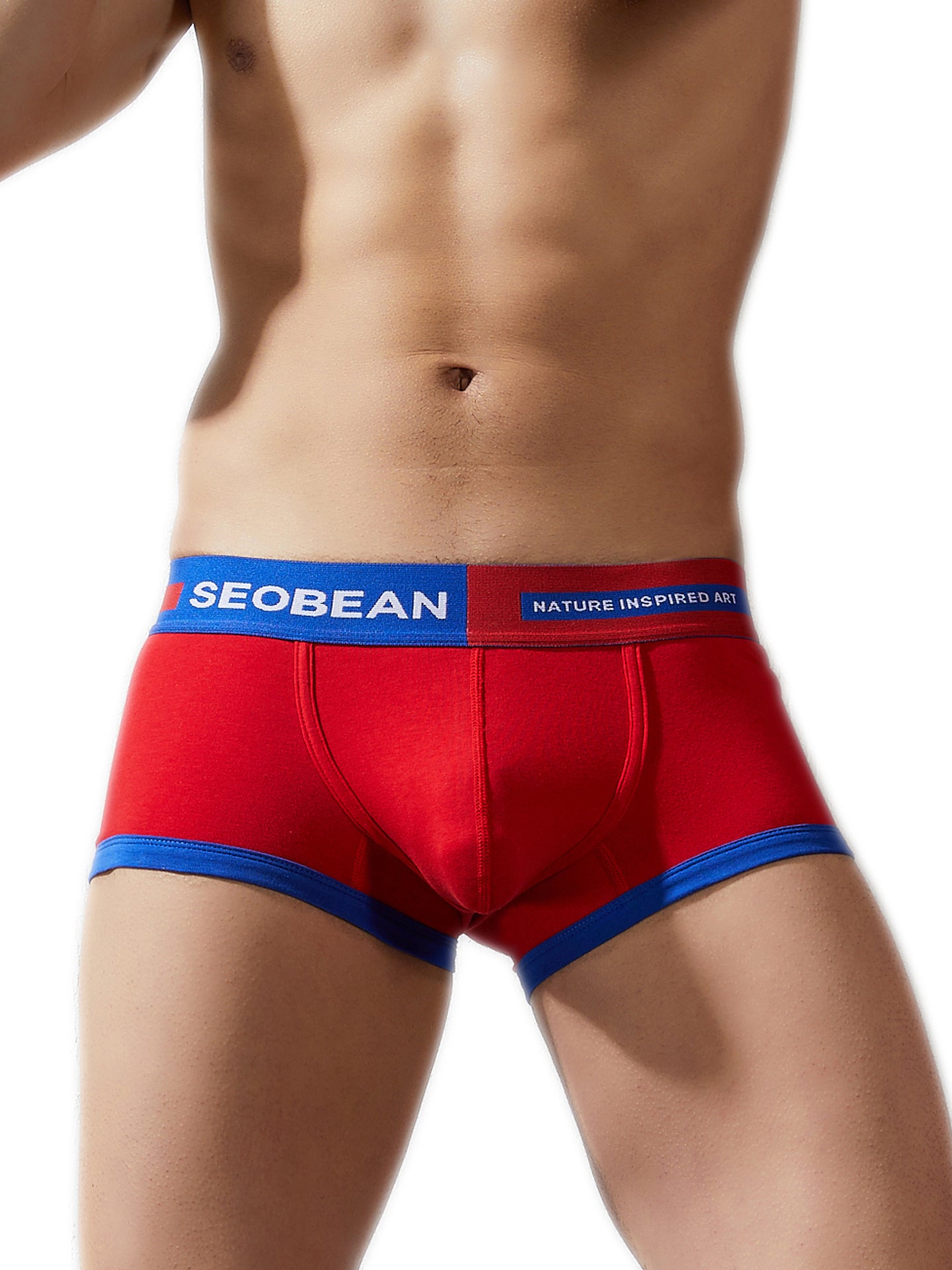 BLACKRISS™Men's Underwear Comfortable Fashion Cotton Boxer Briefs-Blackriss