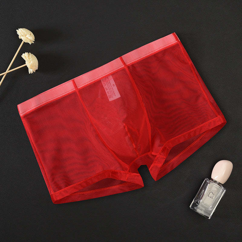 BLACKRISS™Mid Waist Mesh Sexy Pouch Bag Boxers-Blackriss