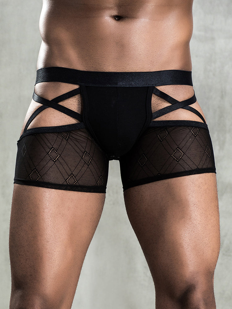 BLACKRISS™Sexy See-through Men's Erotic Boxer Briefs-Blackriss