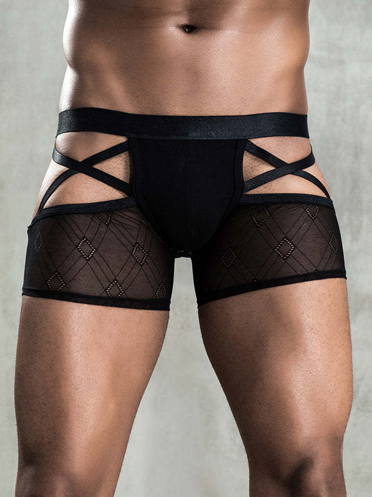 BLACKRISS™Sexy See-through Men's Erotic Boxer Briefs-Blackriss