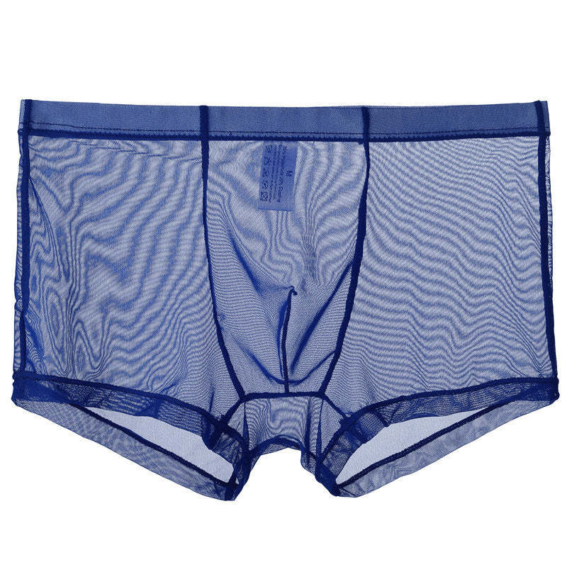 BLACKRISS™Mid Waist Mesh Sexy Pouch Bag Boxers-Blackriss