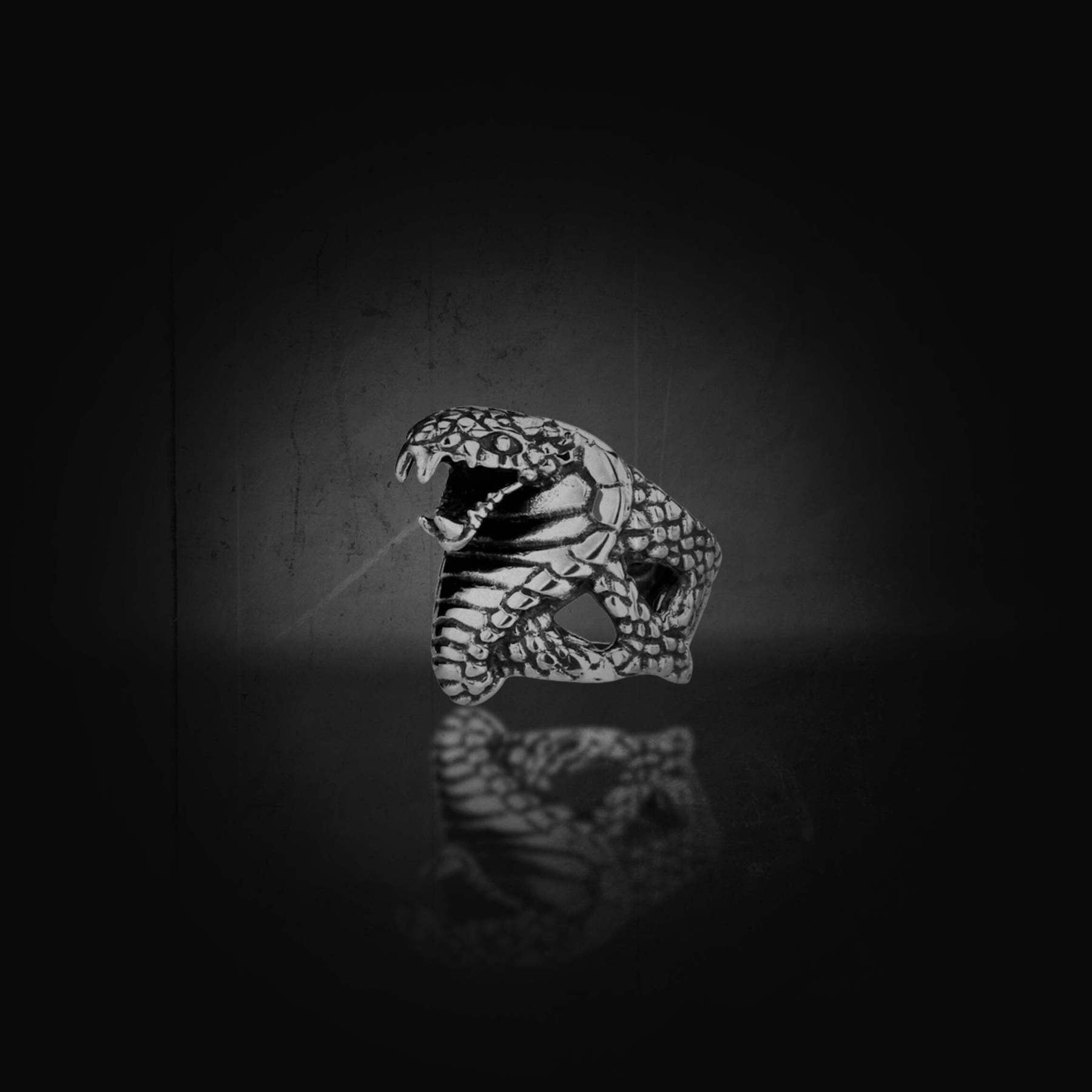BLACKRISS™Titanium Steel Cobra Ring-Blackriss