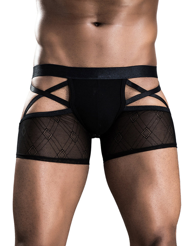 BLACKRISS™Sexy See-through Men's Erotic Boxer Briefs-Blackriss
