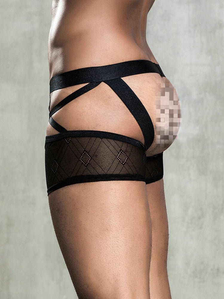 BLACKRISS™Sexy See-through Men's Erotic Boxer Briefs-Blackriss